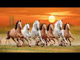 Adorable wallpapers > animal > seven horses art wallpaper (30 wallpapers). Wallpaper Hd Horse 7 Nonfatalistic Bagram Site