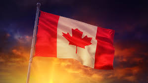 Buy bitcoin cash (bch), bitcoin (btc), ethereum (eth) and other select cryptocurrencies instantly as a result, you cannot buy bitcoin directly in registered accounts like the tfsa or rrsp. How To Buy Crypto In Your Tfsa Nowfuture