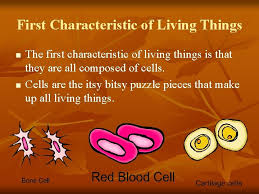 Living things grow and develop Characteristics Of Living Things Life Science Biology N