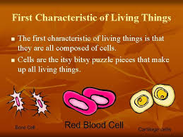 Jul 01, 2003 · in the courts, all humans and some corporations are considered persons in the legal sense. Characteristics Of Living Things Life Science Biology N