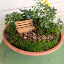 Herb Dish Garden Mini Garden Miniature Garden Dish Garden