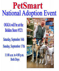 The cdc reports that walking and playing with your pets can decrease triglyceride levels, blood pressure. Retired Ohio Greyhound Gathering Adoption