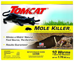 We did not find results for: Best Mole Killer Reviews