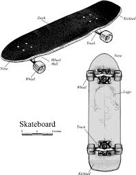 Skateboard decks are the top board part of the skateboard. Get Rad The Evolution Of The Skateboard Deck Evolution Education And Outreach Full Text