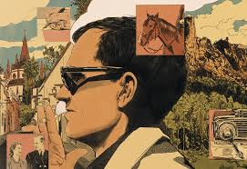 Signs and Wonders, by Will Stephenson