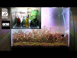Project 10 Setup Dutch Style One Research Tank 40cm Youtube Aquascape Projects Setup
