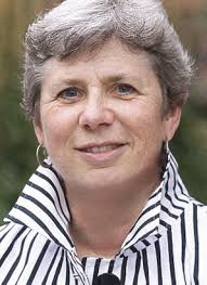 LAW COMMISSION OF ONTARIO Message from the Executive Director NEW PROJECTS  OUR NEW LOOK