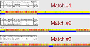 Genetic Genealogy Using Gedmatch An Absolute Beginners Guide