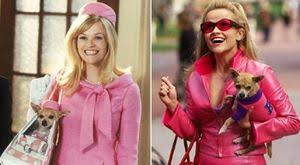 Ver más ideas sobre legalmente rubia, rubia, elle woods. Legalmente Rubia Ecured