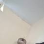 Profile Picture of Robin Pulliam - TikTok (@tiktok.com) on Google