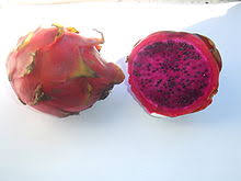These fruits grow on hylocereus cacti and, with some tender professional growers sell dragon fruit plants that are ready to be transplanted to your garden. Dragon Fruit Wikidata