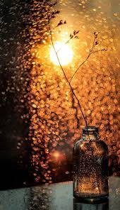 The Earth Is An Art Photographer Is Only A Witness World Of Color Photo Still Life