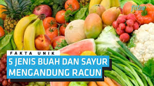 Gambar mewarnai buah sebelumnya kami telah memberikan cukup banyak gambar mewarnai hewan dan juga gambar mewarnai islami nah unuk kali ini kami akan memberikan gambar mewarnai buah. Waspada Ada Racun Di Dalam 5 Jenis Buah Dan Sayur Ini Fakta Unik Fitone Youtube