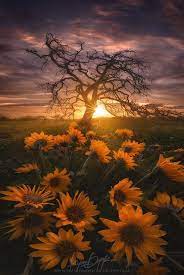 Pt360 Episode 1 Photography Talk Gets Its Blog On Nature Photography Landscape Photography Beautiful Nature