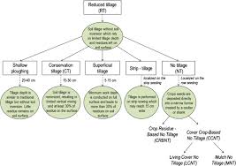 Customer service was great all around. Using Mulch From Cover Crops To Facilitate Organic No Till Soybean And Maize Production A Review Springerlink
