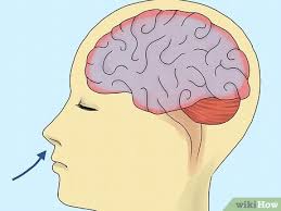 It can indicate anything from a sleep disorder to a heart attack to bleeding in and around the aorta, your heart's main artery. 10 Ways To Stop A Yawn Wikihow