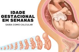 Idade Gestacional Calculadora De Gravidez Semanas Em Meses Idade Gestacional Saiba O Que Significa Cantinho Infantil Da Mamae Em 2020 Idade Gestacional Primeira Semana De Gravidez Fases Da Gravidez