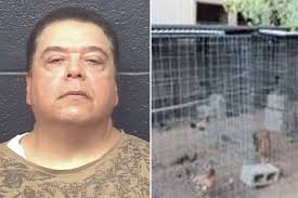 LPD: Raid leads to discovery of drugs, cockfighting equipment, 50 roosters  and hens