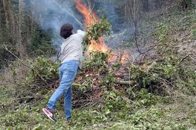 Pouvez Vous Bruler Vos Dechets Verts Dans Le Jardin