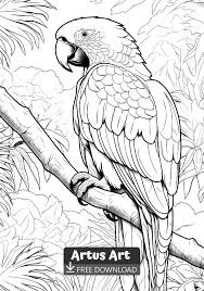 Wilmar Rincon Castellanos (wilmarin11)