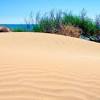 Spiaggia pozzallo ist liegt südlich von carpentera. Https Encrypted Tbn0 Gstatic Com Images Q Tbn And9gcqdt0ngmlolnyovjnp6fbt1s0f3mfe6y98ehgmainwqcvqwe1j5 Usqp Cau