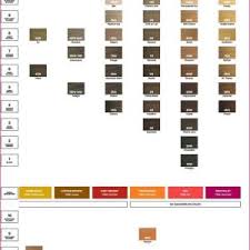 goldwell color wheel goldwell color chart 2017 unique