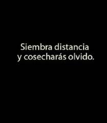Frases De Decepcion Siembre Distancia Frases De Decepcion Frases Frases Positivas