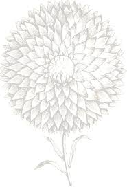 MEMORIA DE INVESTIGACIÓN Facultad de Filosofía y Letras 2023