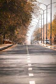 Gray Concrete Road Between Trees During Daytime Photo Free Road Image On Unsplash Dslr Background Images Beach Background Images Photo Background Editor