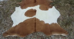 Dana Derisi Beyaz Kahve Renkli Tabaklanmis Deri Hali Naturel Sigir Dana Postu 185 X 155 Sifir Postal Danaderisi Danapostu Inekpost Beyaz Kahve Hali Dekor