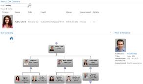 Examples Of Organisation Charts Sharepoint Org Chart