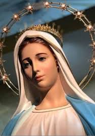 Hail Mary, Full of Grace, The Lord is with thee. Blessed art thou among  women, and blessed is the fruit of thy womb, Jesus. Holy Mary, Mother of  God, pray for us