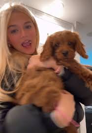 Gracie Cunningham Dog