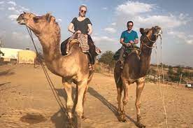 Jodhpur city tour with camel safari. Camel Safari Day Tour In Jodhpur