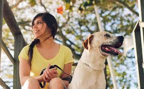 Hiring a pet sitter in san francisco, ca will cost an average of $17.25 per hour as of june, 2021. Blog Canine Cuties In Home Pet Care