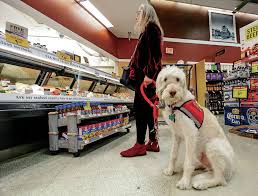 Next, research the best service dog breeds to get an idea of what kind. Deciphering Fuzzy Areas Regarding Use Of Service Animals Local News Santafenewmexican Com