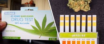 Cannabis Schneller Aus Dem Korper Herausbekommen Geht Das Uberhaupt Cannaconnection Com