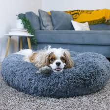 Shopping for a new dog bed? Cozy Calming Bed For Dogs Alpha Paw