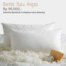 Sedangkan jika kamu menggunakan mesin cuci, pastikan bantal terendam. Bantal Bulu Angsa Lazada Indonesia