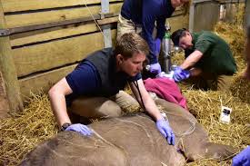 Congrats Dr. Yaw! 🙌 He earned the...