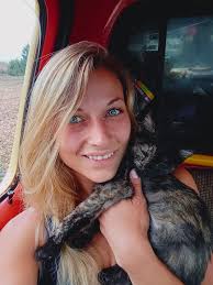 Lost black collared cat with bells