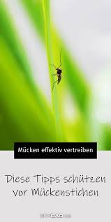 Diese Tipps Vertreiben Mucken Effektiv Skybad De In 2020 Was Hilft Gegen Mucken Was Tun Gegen Mucken Mucken