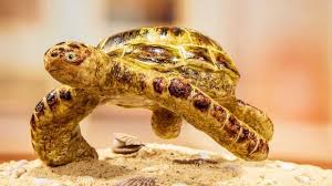 Depuis le temps que je repoussais l'échéance, je me suis enfin lancée. Promibacken Igel Rezept Rezepte