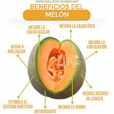 Pin On Alimentacion Beneficios Y Propiedades