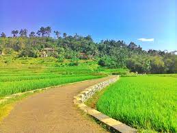 Untuk melihat tempat tempat menarik lain di kedah sila lawati halaman tempat menarik di kedah mengikut daerah. 18 Gambar Pemandangan Kampung Halaman Gambar Pemandangan Keren