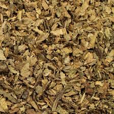 Image result for foto Lobelka