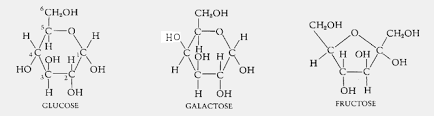 It is a disaccharide, a molecule composed of two monosaccharides: Carbohydrates