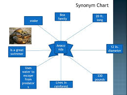 Ppt Words And Synonyms Dictionary Powerpoint Presentation