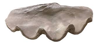 Free shipping options, shop now! Large Grey Resin Clam Shell Chairish
