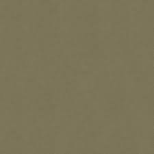 Image result for Cypress Gold Frost 1996 Town Car